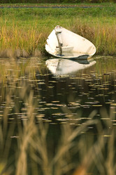 Similar image 8010522