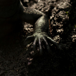 Similar image 8010527