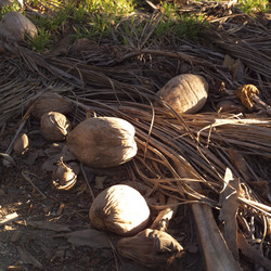 Similar image 8010532