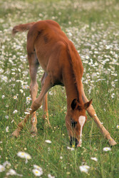 Similar image 8010540