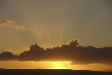 Similar image 8010541