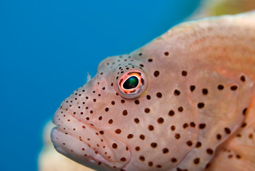 Similar image 8010543