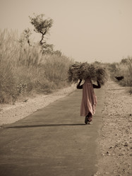 Similar image 8010547