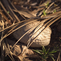 Similar image 8010550