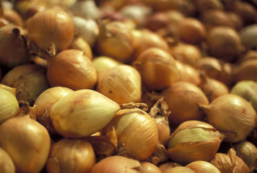 Similar image 8010554