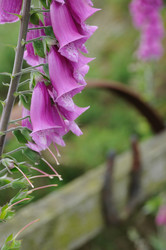 Similar image 8010555