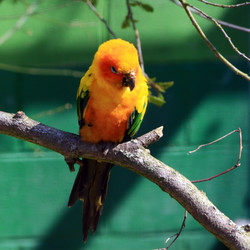 Similar image 8010561