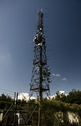 Similar image 8010565