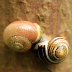 Similar image 8010568