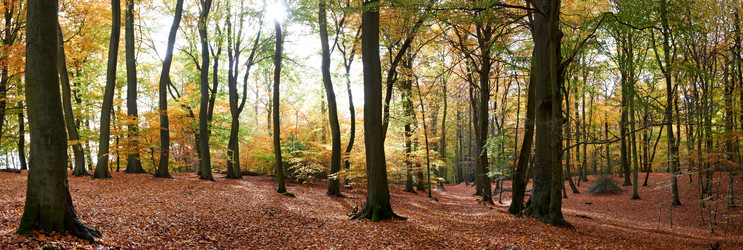 Similar image 8010571