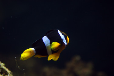 Similar image 8010575