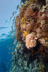 Similar image 8010583