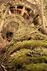 Similar image 8010591