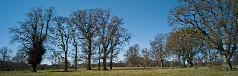 Similar image 8010601