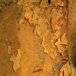 Similar image 8010609