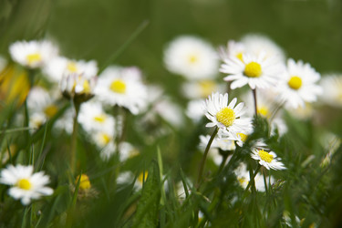 Similar image 8010623