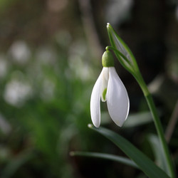 Similar image 8010628