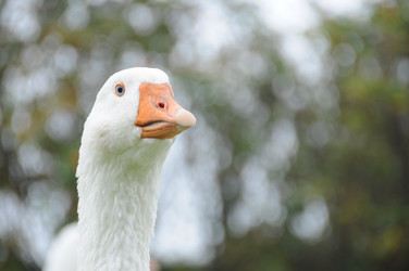 Similar image 8010630