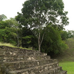 Similar image 8010645