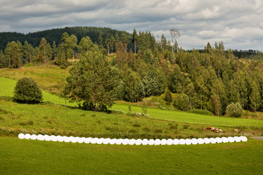 Similar image 8010656