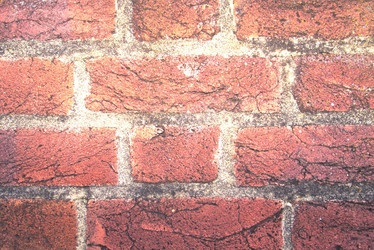 Similar image 8010661