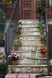 Similar image 8010707