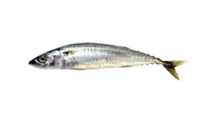 Similar image 8010725