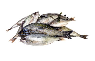 Similar image 8010726