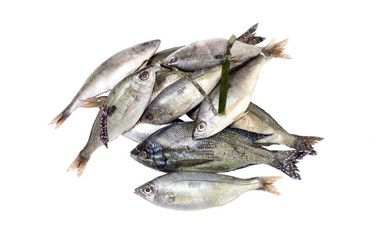 Similar image 8010727