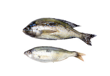 Similar image 8010728