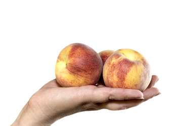 Similar image 8010734