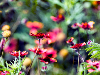 Similar image 8010756