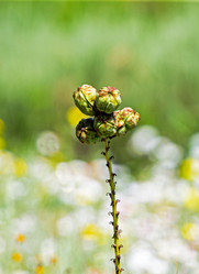 Similar image 8010757