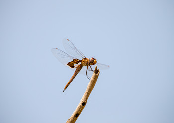 Similar image 8010758