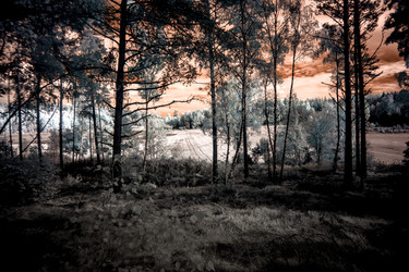 Similar image 8010762