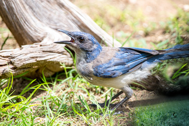 Similar image 8010773