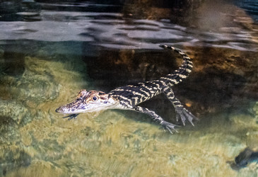 Similar image 8010779