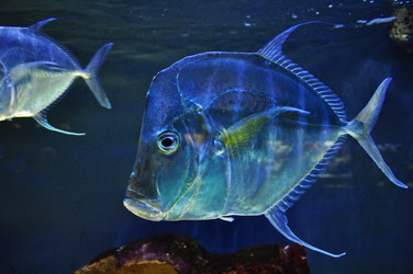 Similar image 8010897