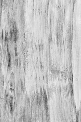 Similar image 8010931