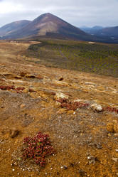 Similar image 8011087