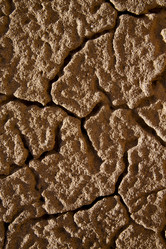 Similar image 8011100