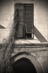 Similar image 8011114