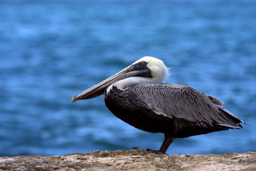 Similar image 8011123