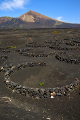 Similar image 8011143