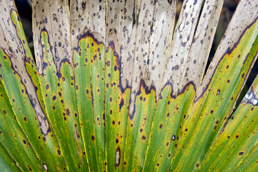 Similar image 8011166