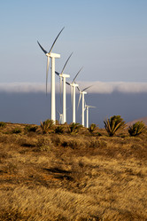 Similar image 8011173