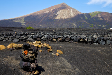 Similar image 8011192