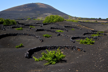 Similar image 8011200