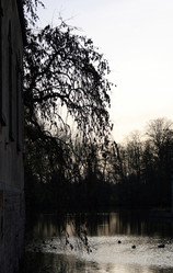 Similar image 8011525