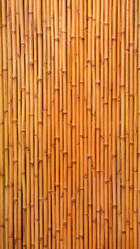 Similar image 8011527